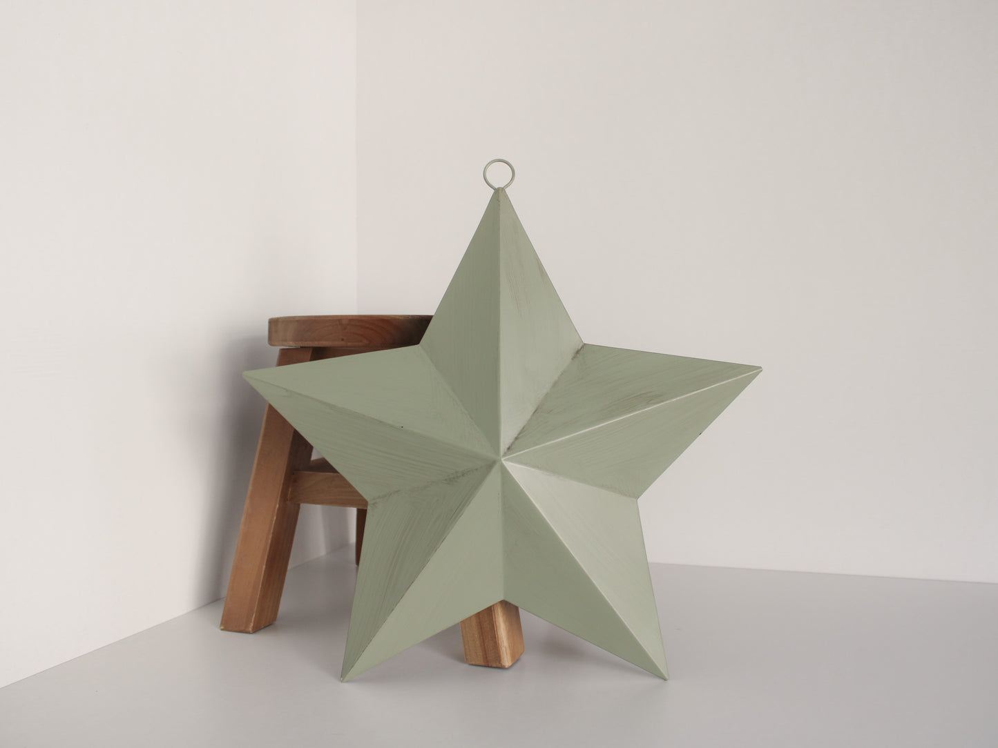 Indoor/Outdoor Sage Star