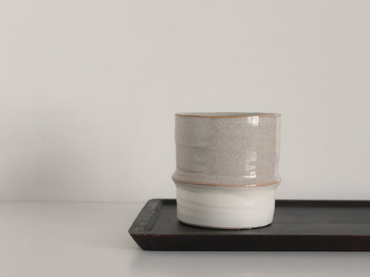 Two-Tone Indoor Plant Pot