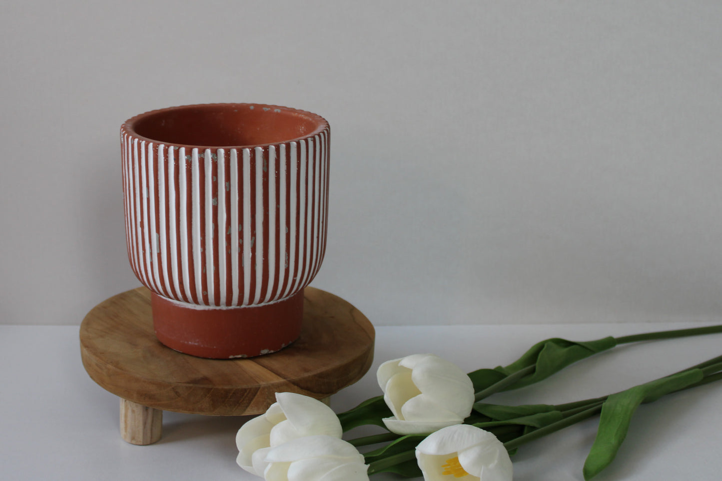 Terra Cotta Indoor Plant Pot