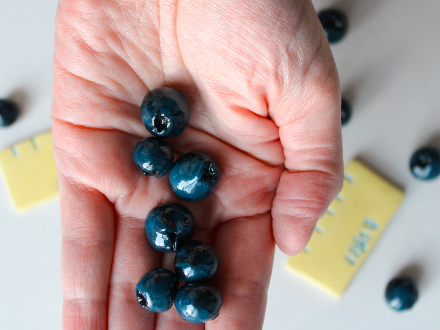 Bluberry Magnets