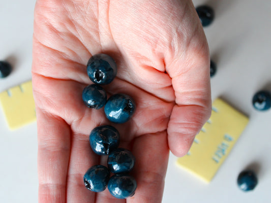 Bluberry Magnets